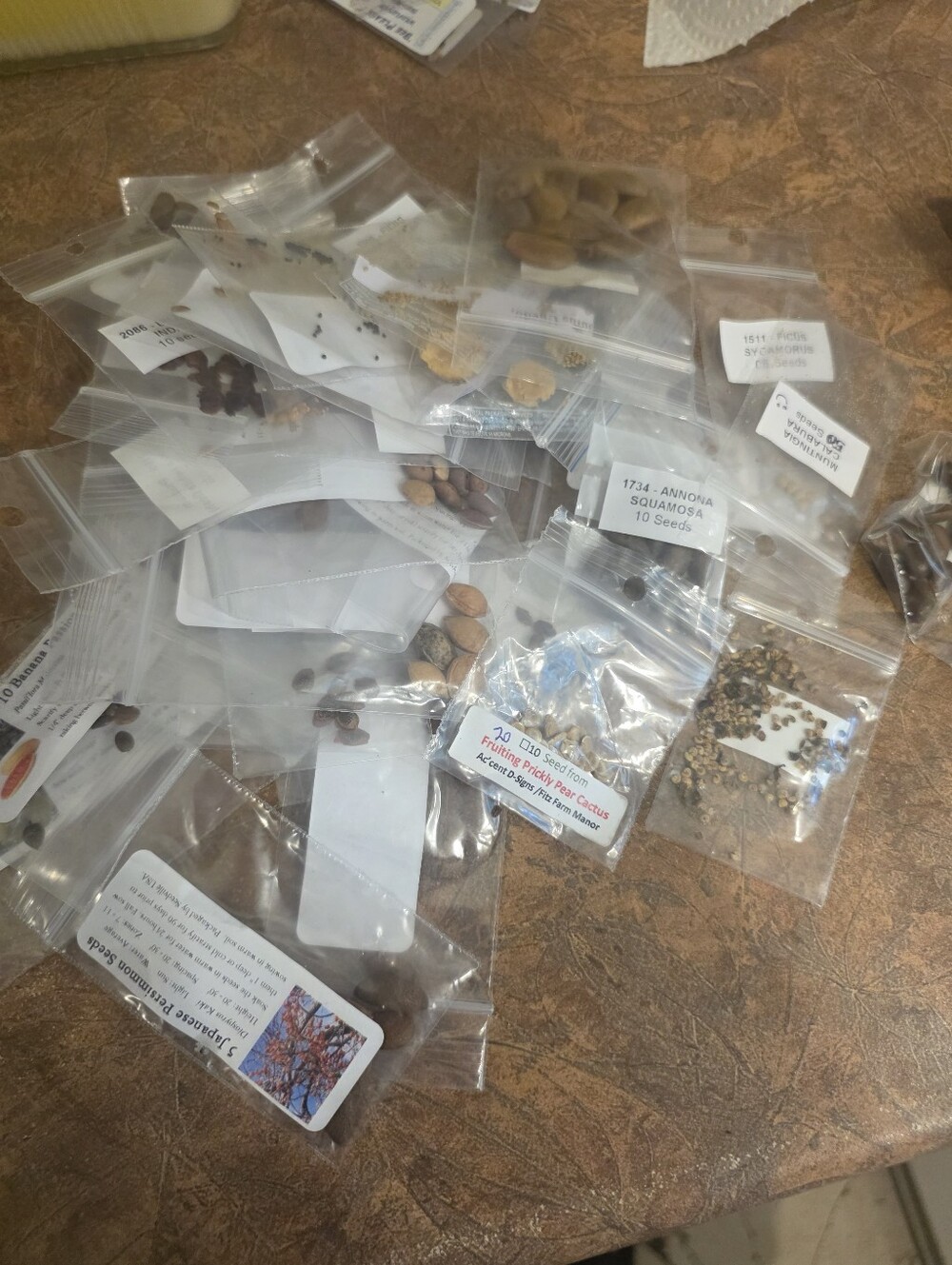 Approx 39 Packets Of Rare International Fruit Tree Seeds All Bought Recently
